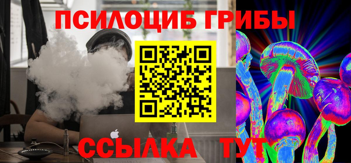 Донской  Галлюциногенные грибы Psilocybine cubensis  Галлюциногенные грибы мухоморы  Вход с VPN 
