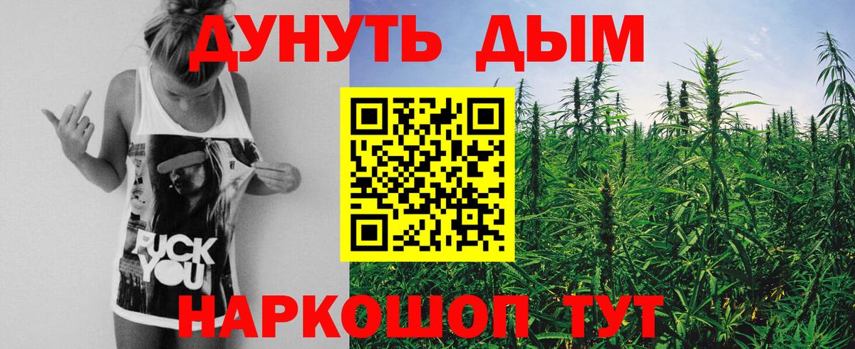Бошки Шишки планчик Донской